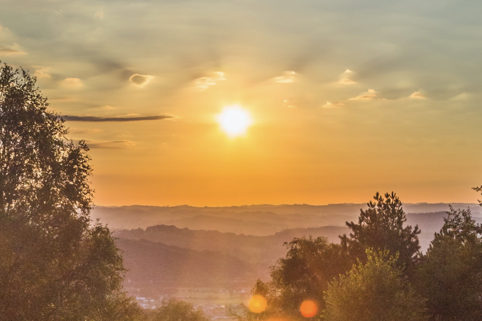 Sunset over forest